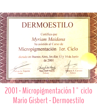 2001 - Micropigmentación 1° ciclo - Mario Gisbert - Dermoestilo