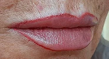 Contorno de labios